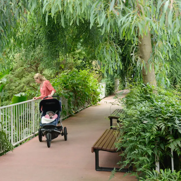 Royal Botanical Glasshouse — photograph 9 of 15
