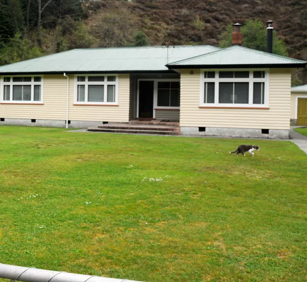 Kiwiana 1995 - 2010 — photograph 13 of 115
