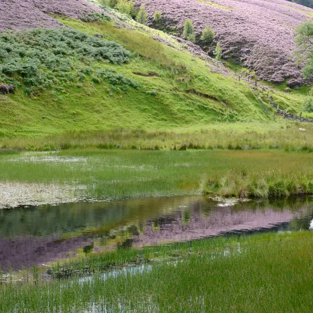 Edinburgh's Beautiful Countryside — photograph 24 of 34