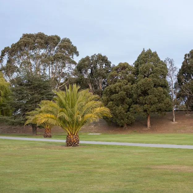 2.10.2020 Trip To Timaru (part 2) — photograph 173 of 183