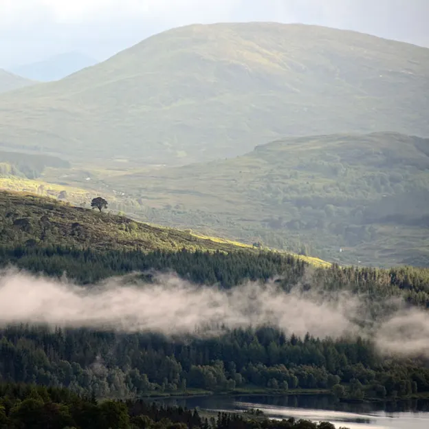 Scotlands Countryside 2012 — photograph 33 of 99