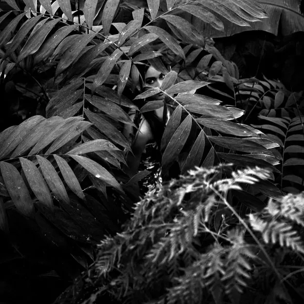 Random Favourites — photograph 25 of 47