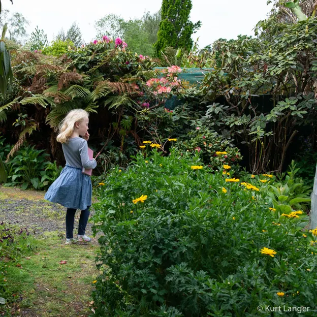 Little River Open Garden Day 27.10.2019 — photograph 34 of 113
