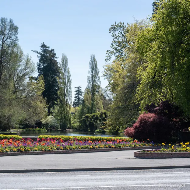 2.10.2020 Trip To Timaru (part 1)  — photograph 42 of 141