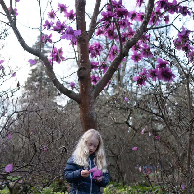 23.8.2020 Early Spring Botanics — photograph 17 of 20