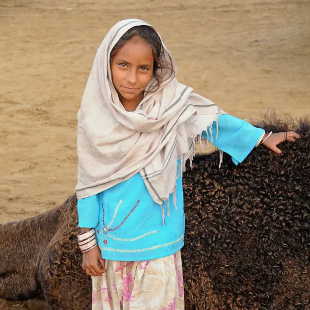 Incredible India 2010 — photograph 92 of 289