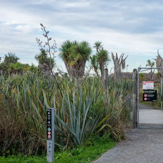 7.5.2020 Travis Wetland — photograph 18 of 27