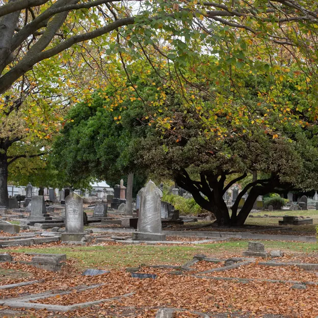 12.5.2020 Craycroft & Addington Cemetery — photograph 39 of 50