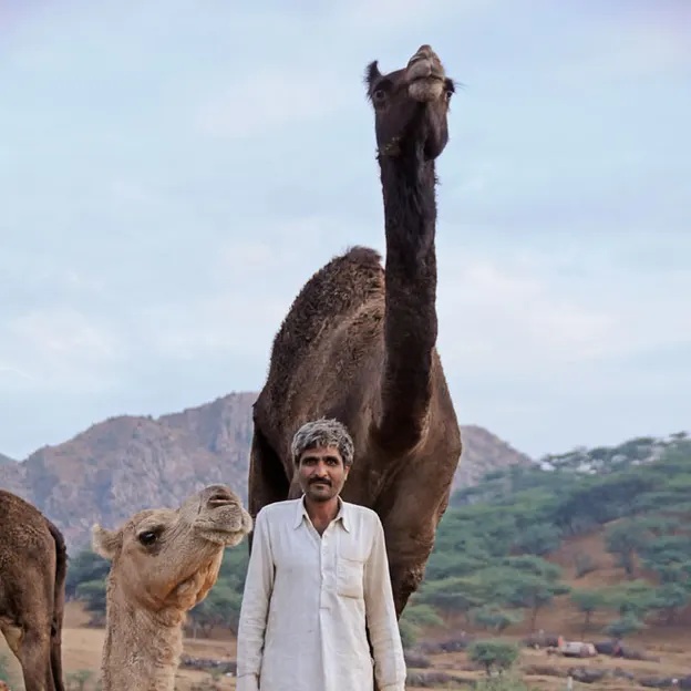 Incredible India 2010 — photograph 93 of 289