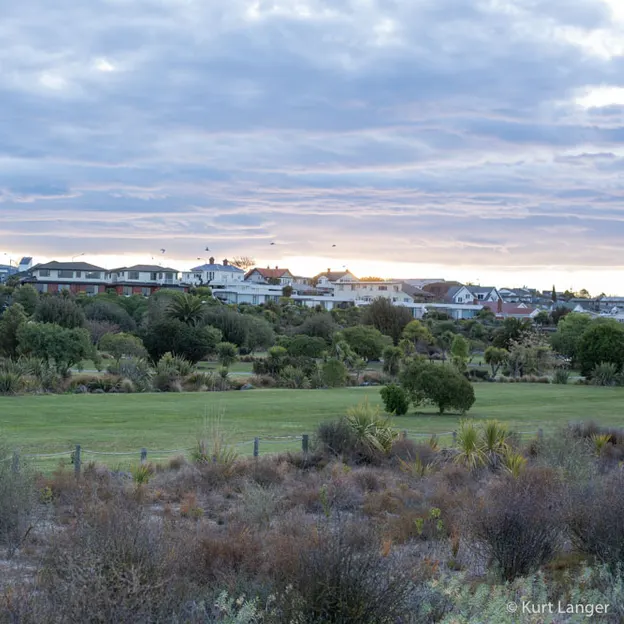 2.10.2020 Trip To Timaru (part 1)  — photograph 117 of 141