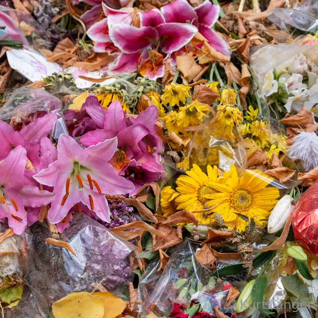 National Remembrance Service 29.03.2019 — photograph 60 of 93