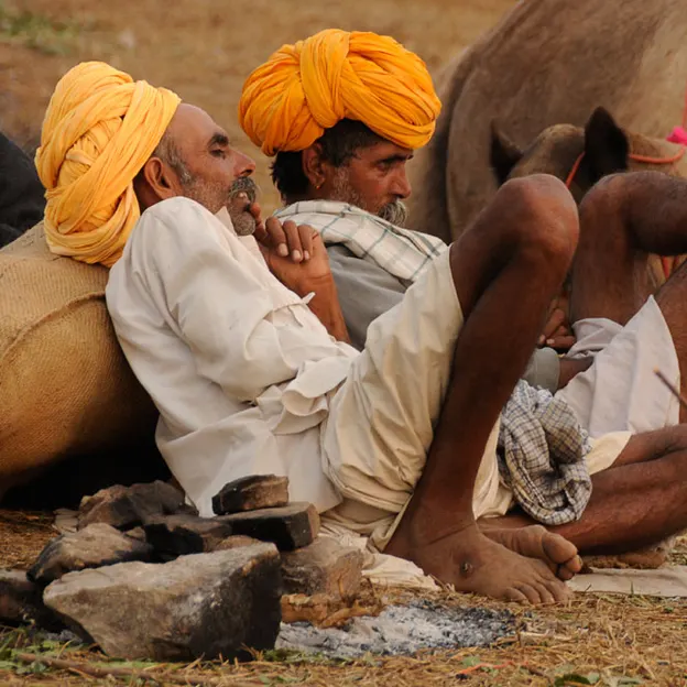 Incredible India 2010 — photograph 60 of 289