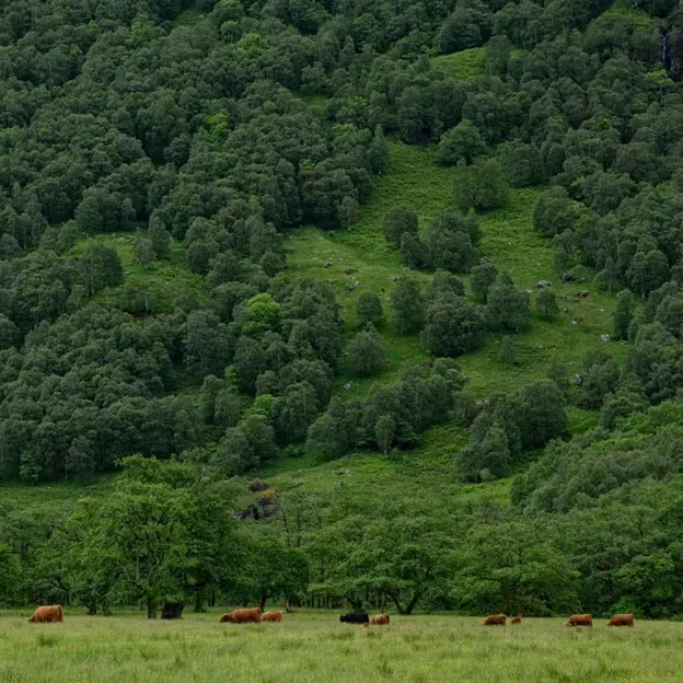 Scotlands Countryside 2012 — photograph 49 of 99