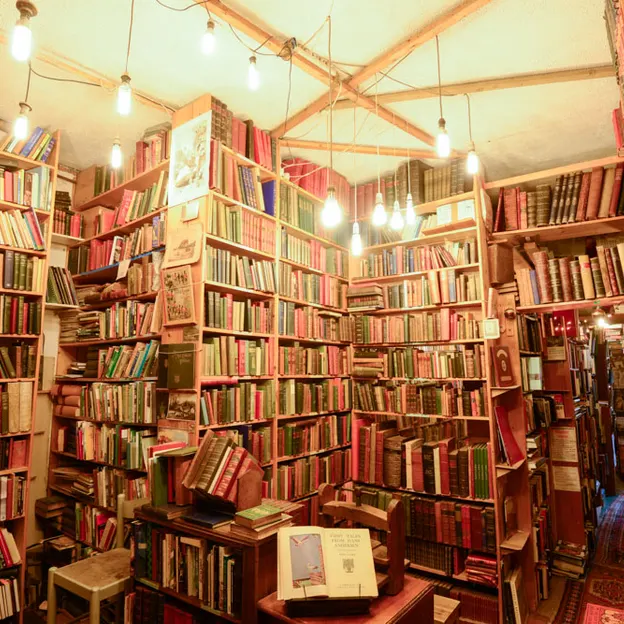 Armchair Books — photograph 2 of 10