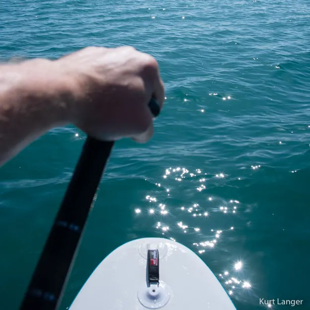10.2.2020 SUPing From Sumner To Taylors  — photograph 13 of 17