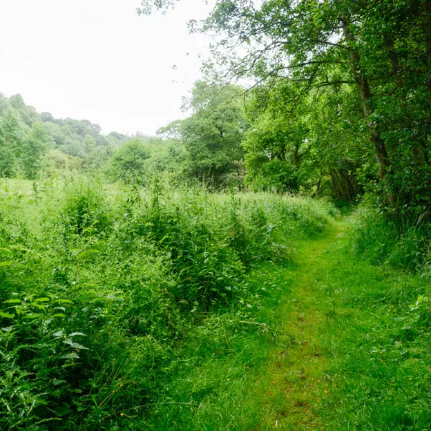Edinburgh's Beautiful Countryside — photograph 13 of 34
