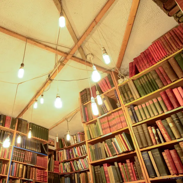Armchair Books — photograph 10 of 10