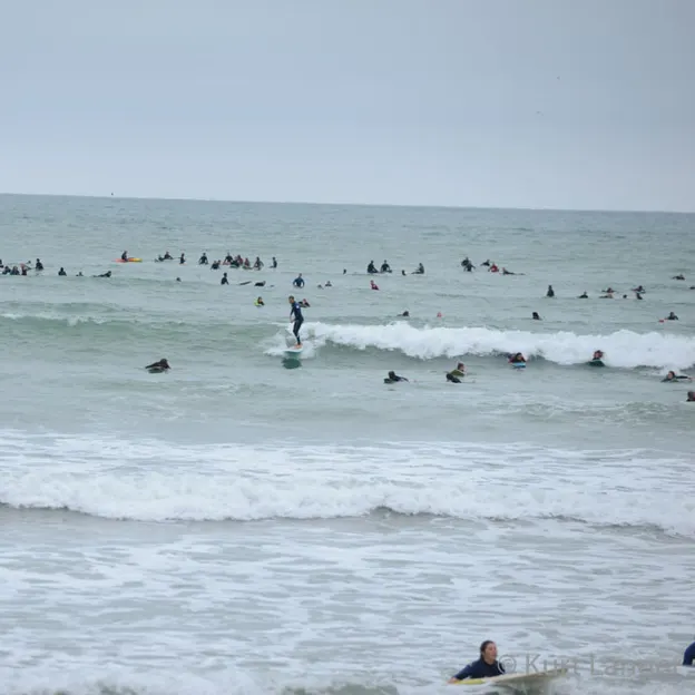 Paddle Out Tribute 24.03.2019 — photograph 34 of 46