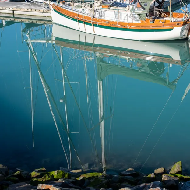 27.5.2020 Lyttelton Marina Reflections — photograph 12 of 13