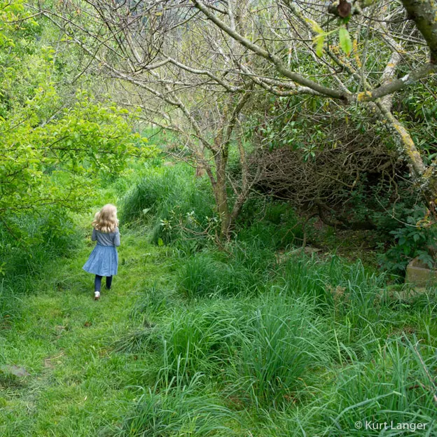 Little River Open Garden Day 27.10.2019 — photograph 55 of 113