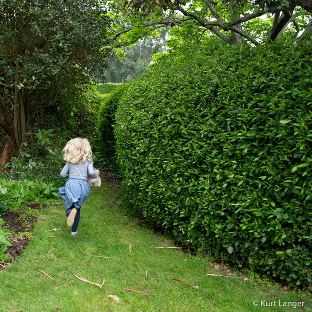 Little River Open Garden Day 27.10.2019 — photograph 83 of 113