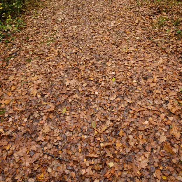 Hanmer Springs In Autumn — photograph 20 of 24