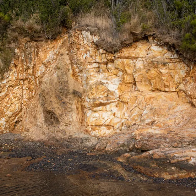 27.1.2020 Little River & Onawe Peninsula — photograph 27 of 32