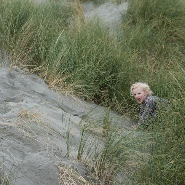 27.4.2020 Southshore Spit — photograph 19 of 26