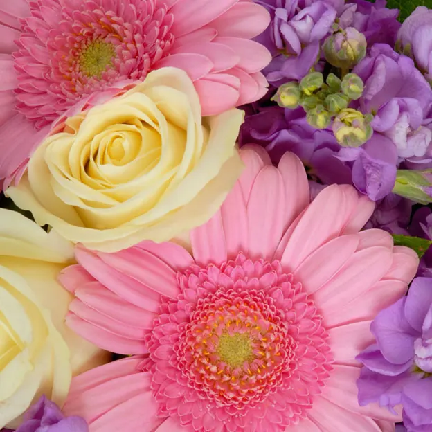 Flowers — photograph 11 of 12