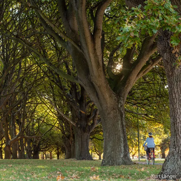 25.4.2020 North Hagley Park — photograph 22 of 38
