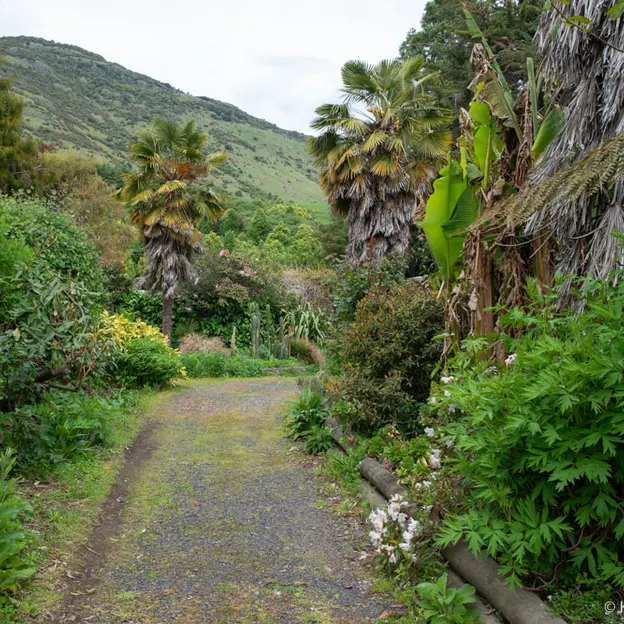 Little River Open Garden Day 27.10.2019 — photograph 40 of 113