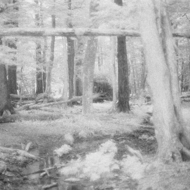 1998 Negative Film Scans — photograph 18 of 46