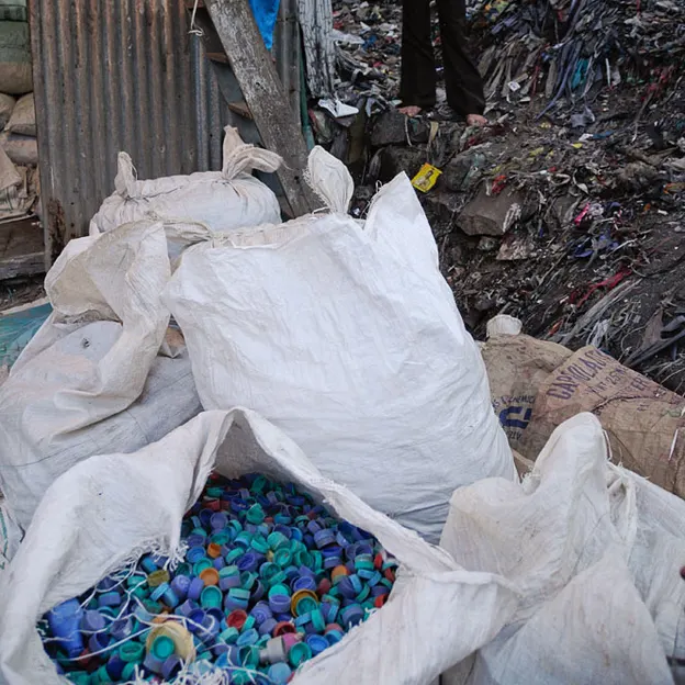 Incredible India 2010 — photograph 265 of 289
