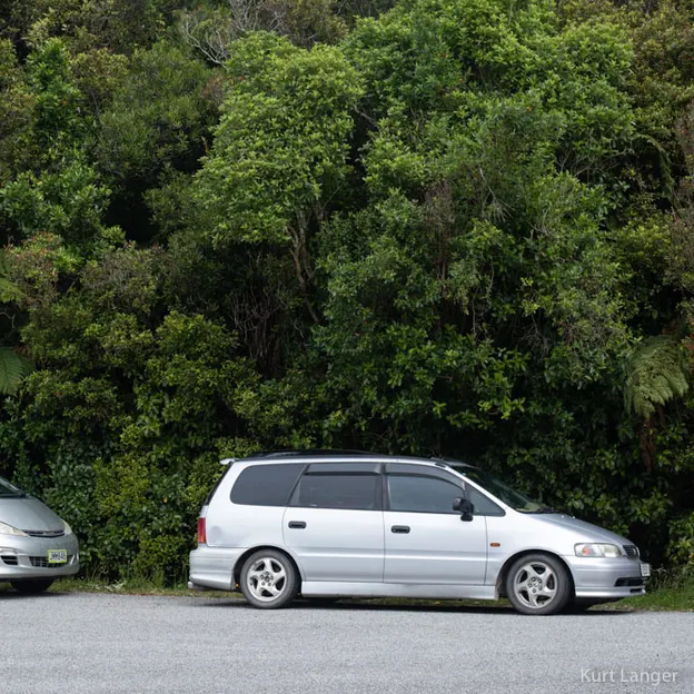 8.1.2020 Punakaiki — photograph 59 of 99
