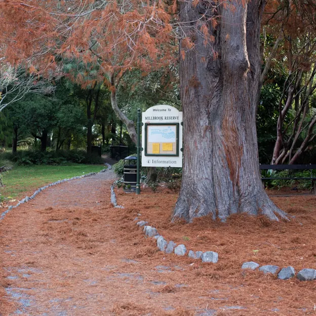 10.5.2020 Riccarton Bush & Millbrook  — photograph 24 of 31