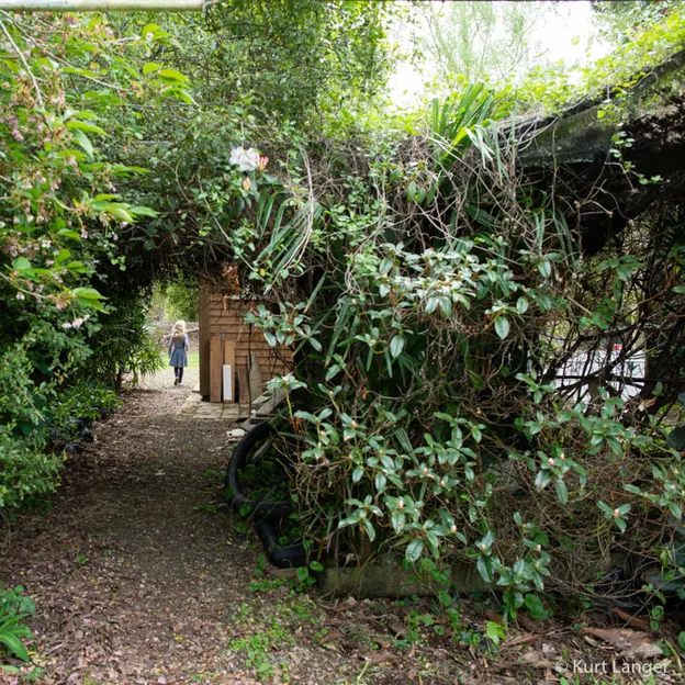 Little River Open Garden Day 27.10.2019 — photograph 29 of 113