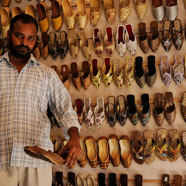 Incredible India 2010 — photograph 15 of 289