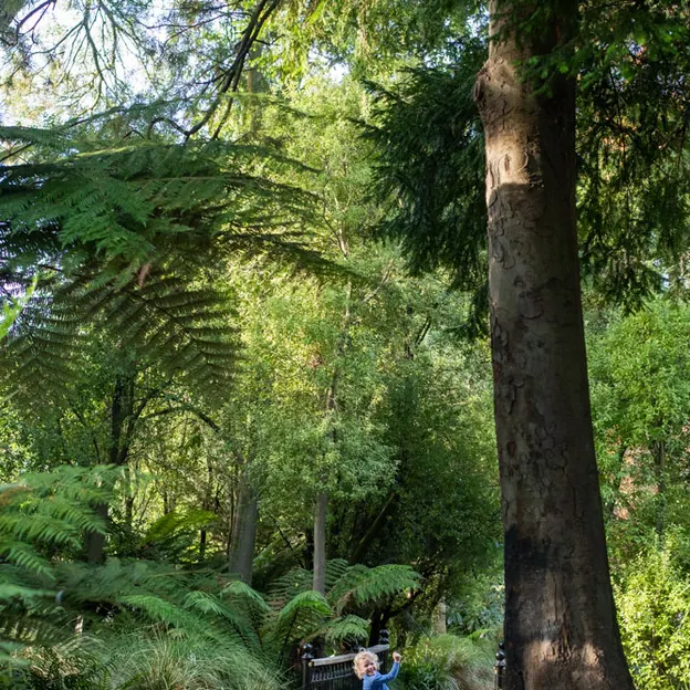 10.5.2020 Riccarton Bush & Millbrook  — photograph 14 of 31