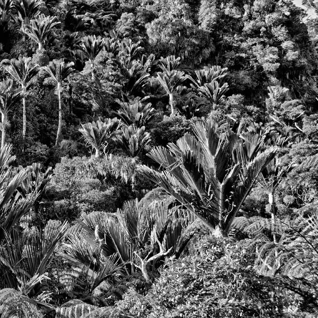 NZ Scenery — photograph 15 of 76