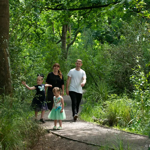Maxwells Family Portrait — photograph 69 of 77