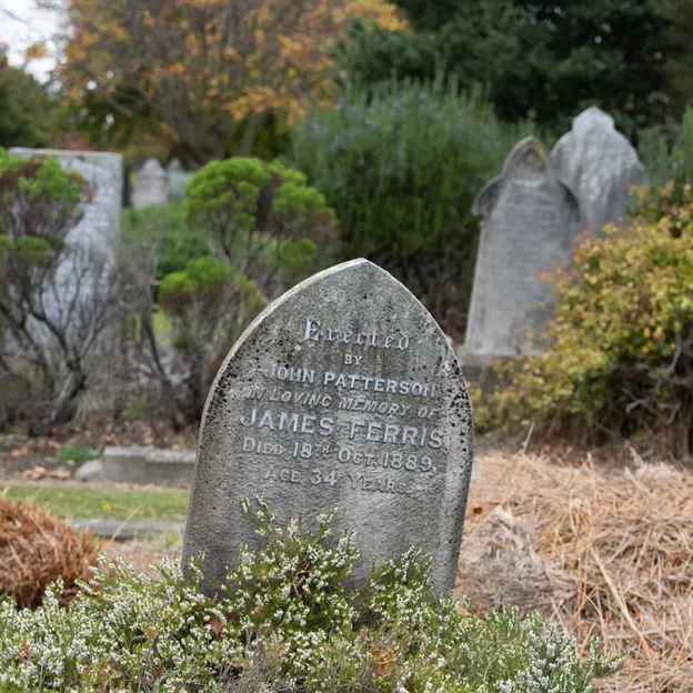 12.5.2020 Craycroft & Addington Cemetery — photograph 15 of 50