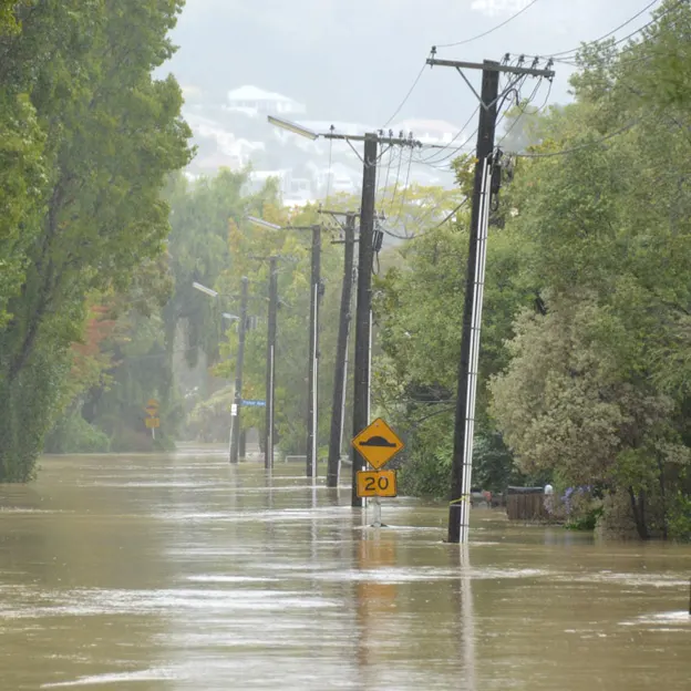 The Big Rainfall — photograph 14 of 50