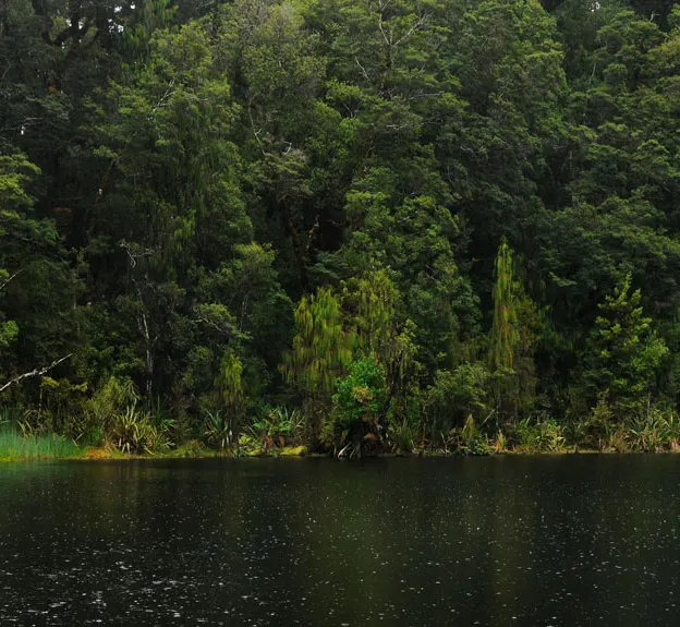 NZ Scenery — photograph 12 of 76