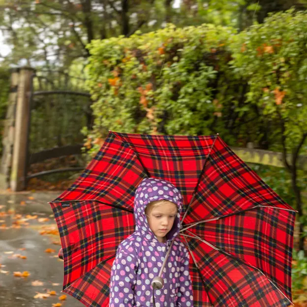 30.3.2020 A Walk In The Rain — photograph 12 of 22