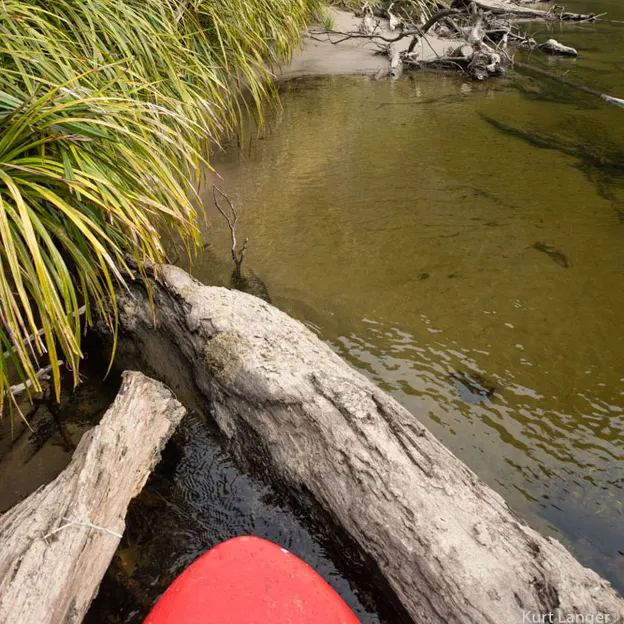 8.1.2020 Punakaiki — photograph 76 of 99