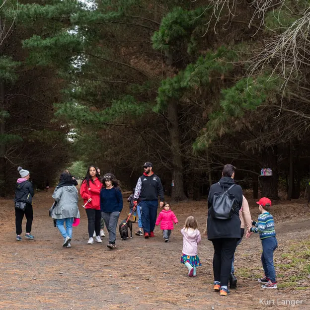 9.5.2020 Bottle Lake Forest — photograph 24 of 27
