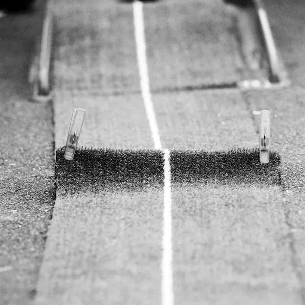 Naturally Conceptual — photograph 15 of 23