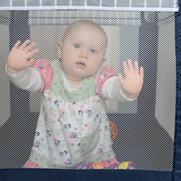 Skye's First Year — photograph 90 of 117