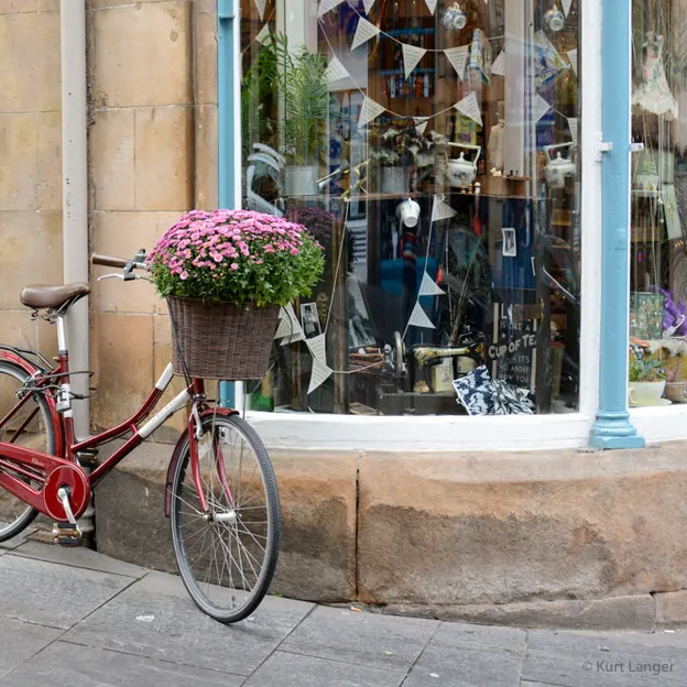 Bikes — photograph 37 of 40