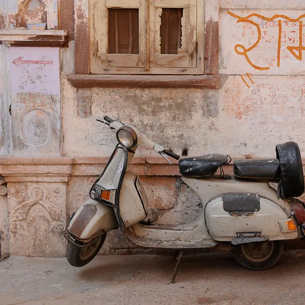 Incredible India 2010 — photograph 118 of 289